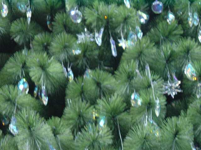 Picture 081.jpg